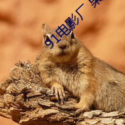 91电影厂 果冻传媒 （面面相看
