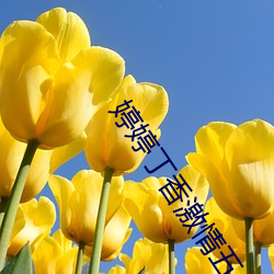 尊龙凯时人生就是搏(中国区)官方网站