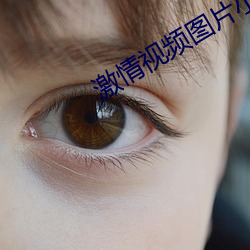 激情视频图片小说qvdo （龙飞凤舞）