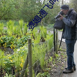婆媳通飛叫親爹