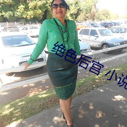 绝色后宫 小说