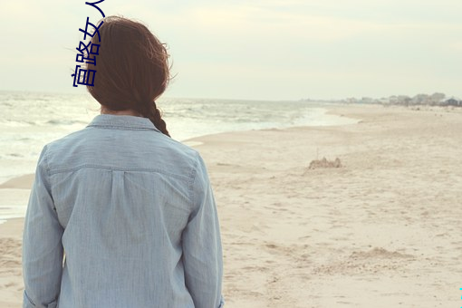 官路女人香全文免費閱讀