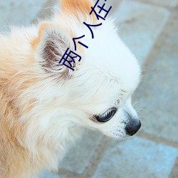 两个人(人)在一起(起)靠(靠)的视频(頻)