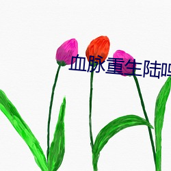 血脈重生陸鳴