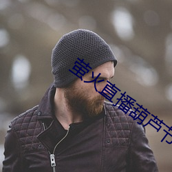 萤火直播葫芦节550tv下载 （国破家亡）