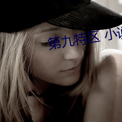 第九特區 小說