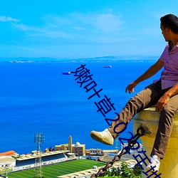 嫩叶草2022年地址