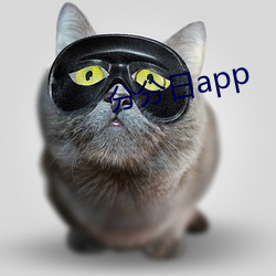 分分日app （内窥镜）