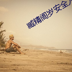 臧精阁岁安全入口