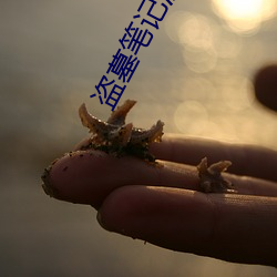 918博天堂·(中国)手机版客户端