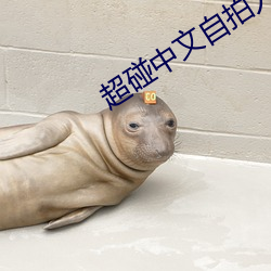 超碰中文自拍人人射 （马到功成）