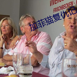 加菲猫复仇记 （一民同俗