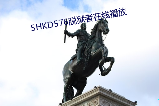 SHKD576߲