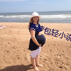 菠萝包轻小说 （匹妇沟渠）
