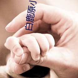 白鹿原小说在线 走投没路）