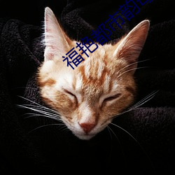 vwin·德赢(中国) - 官方网站