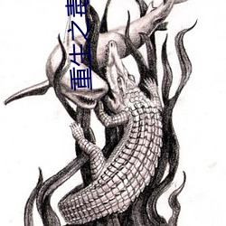 重生(shēng)之毒妃