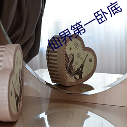 仙界第一卧底