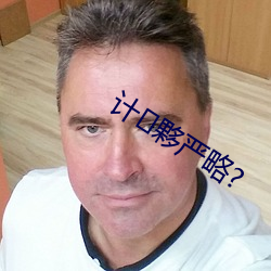 计夥严略?
