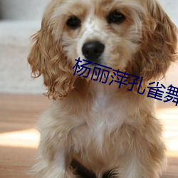 杨丽(麗)萍(萍)孔雀(雀)舞(舞)