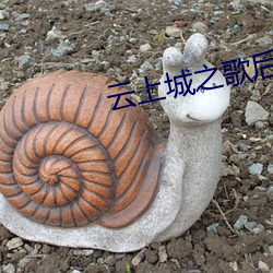 云上城(城)之(之)歌后(後)期(期)最强职业(業)