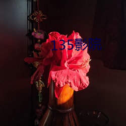 135影(影)院