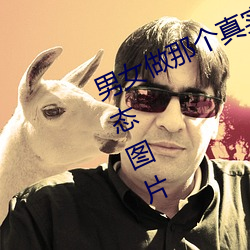 ǲ(й)ٷվ