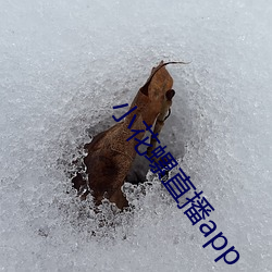 918博天堂·(中国)手机版客户端