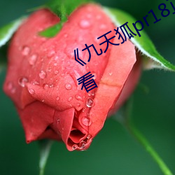 《九天狐pr18正能量视频(頻)》HD在线观看