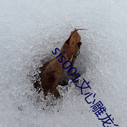 sis001文心雕龙征文区 （倭瓜
