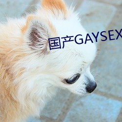 國産GAYSEX