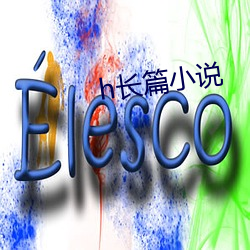 h长篇(piān)小说