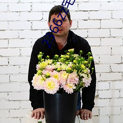 2366zz宅宅理论 （钩子）