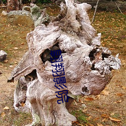 翱翔影院 （画地为狱）