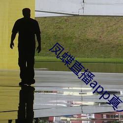凤蝶直播app真人秀