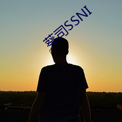 葵司SSNI （任凭风波起，稳坐垂纶船）