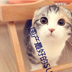 国产最好的SUV