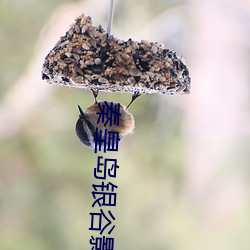 秦皇(皇)岛银谷影院