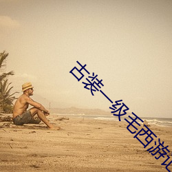 古装(裝)一级毛(毛)西游记(記)