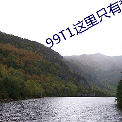 99T1这(這)里只有(有)精品(品)