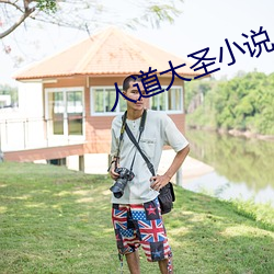 人道大圣小说