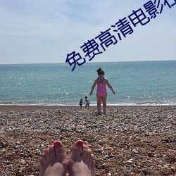 免费高(gāo)清(qīng)电影在线看(kàn)