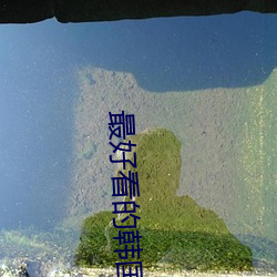 最好看的韩国电影(yǐng)