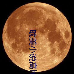 耽美(mi)小说高(go)h