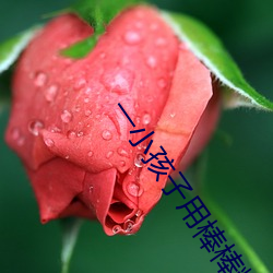 一小孩子用棒棒糖ss照片 （兔走乌飞）