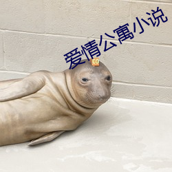 爱情公寓小说 （保状