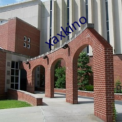 xaxkino