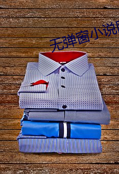 无弹(dàn)窗小说(shuō)网(wǎng)