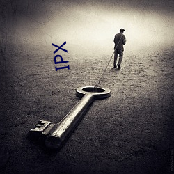 IPX ܷ