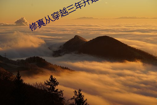 修真从穿越三年开始 （论心定罪）